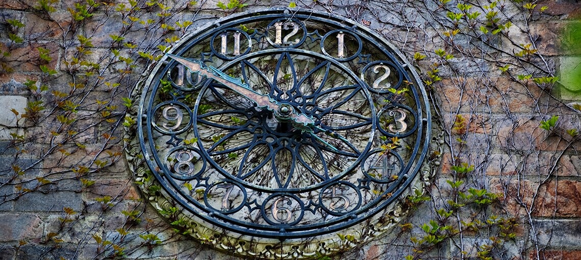 Close up of the copper wall clock covered in ivy. 