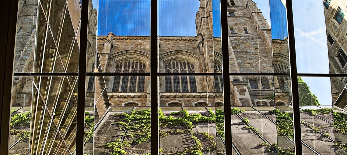 View through the Underground Library windows of the reading room during fall.