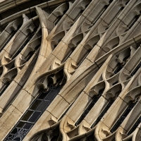 Detail of the Law Quad Windows