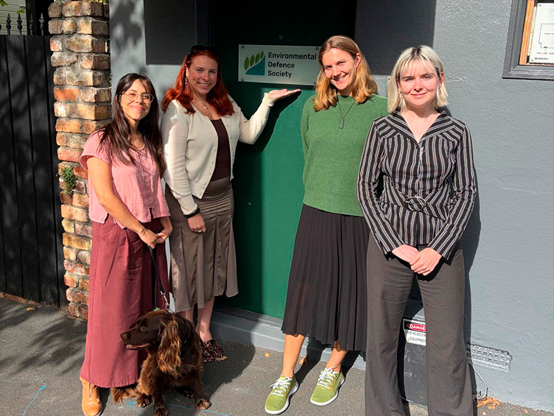 Lindsay Saginaw at the Auckland, New Zealand, office of the Environmental Defence Society