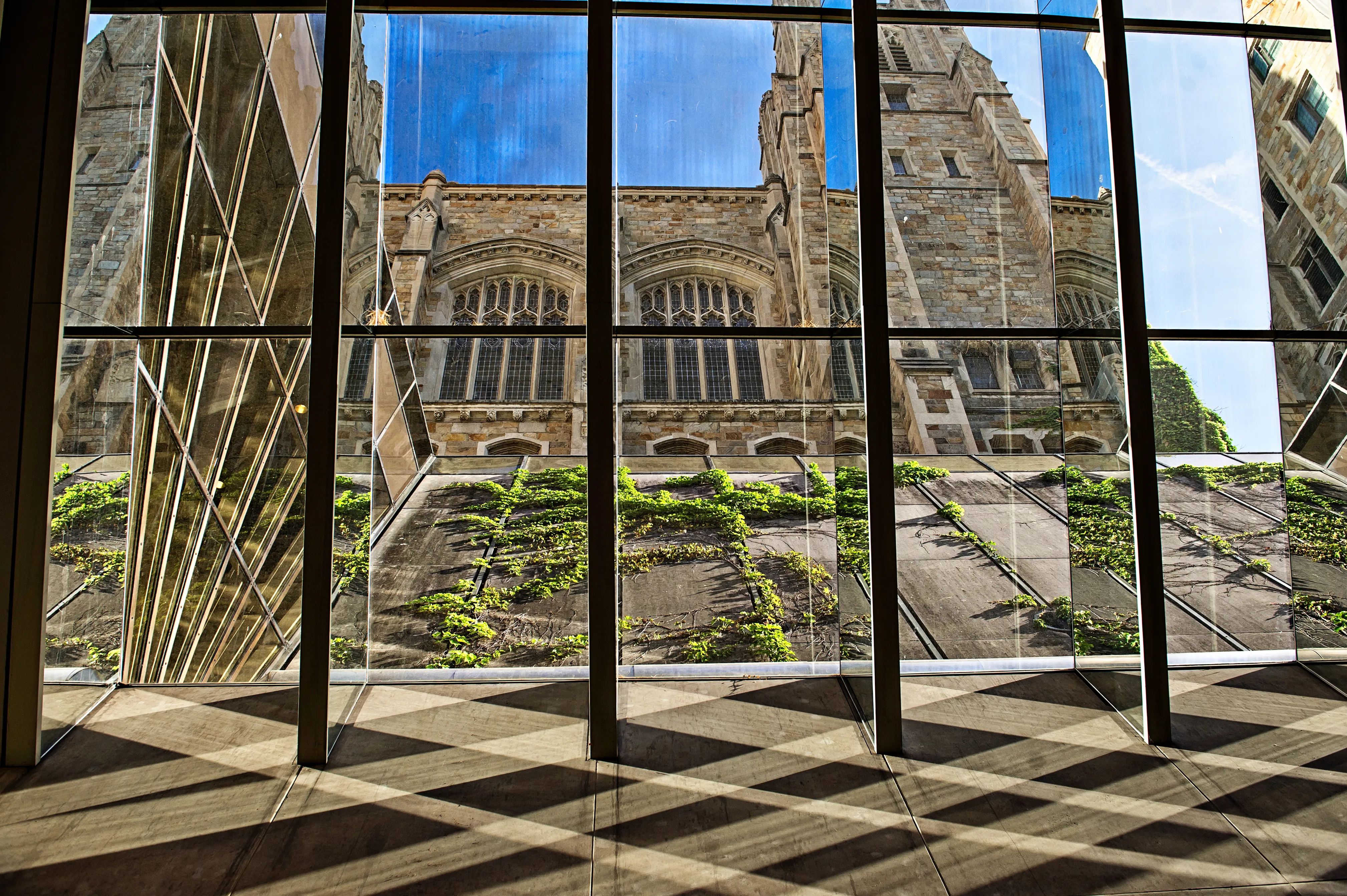 View through the Michigan Law underground library windows of the reading room during summer