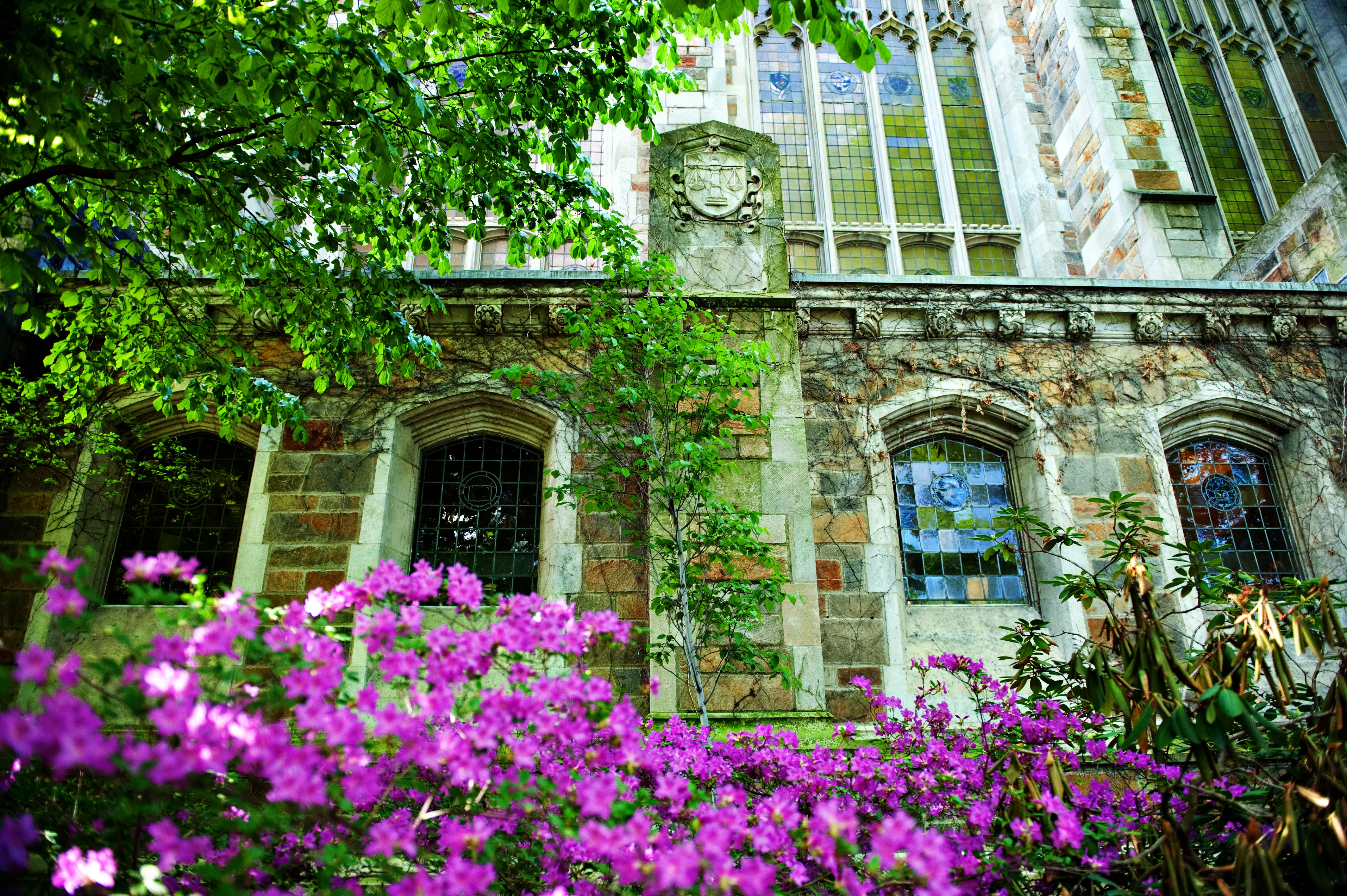 Exterior view of flowers in the Law School Courtyard during spring