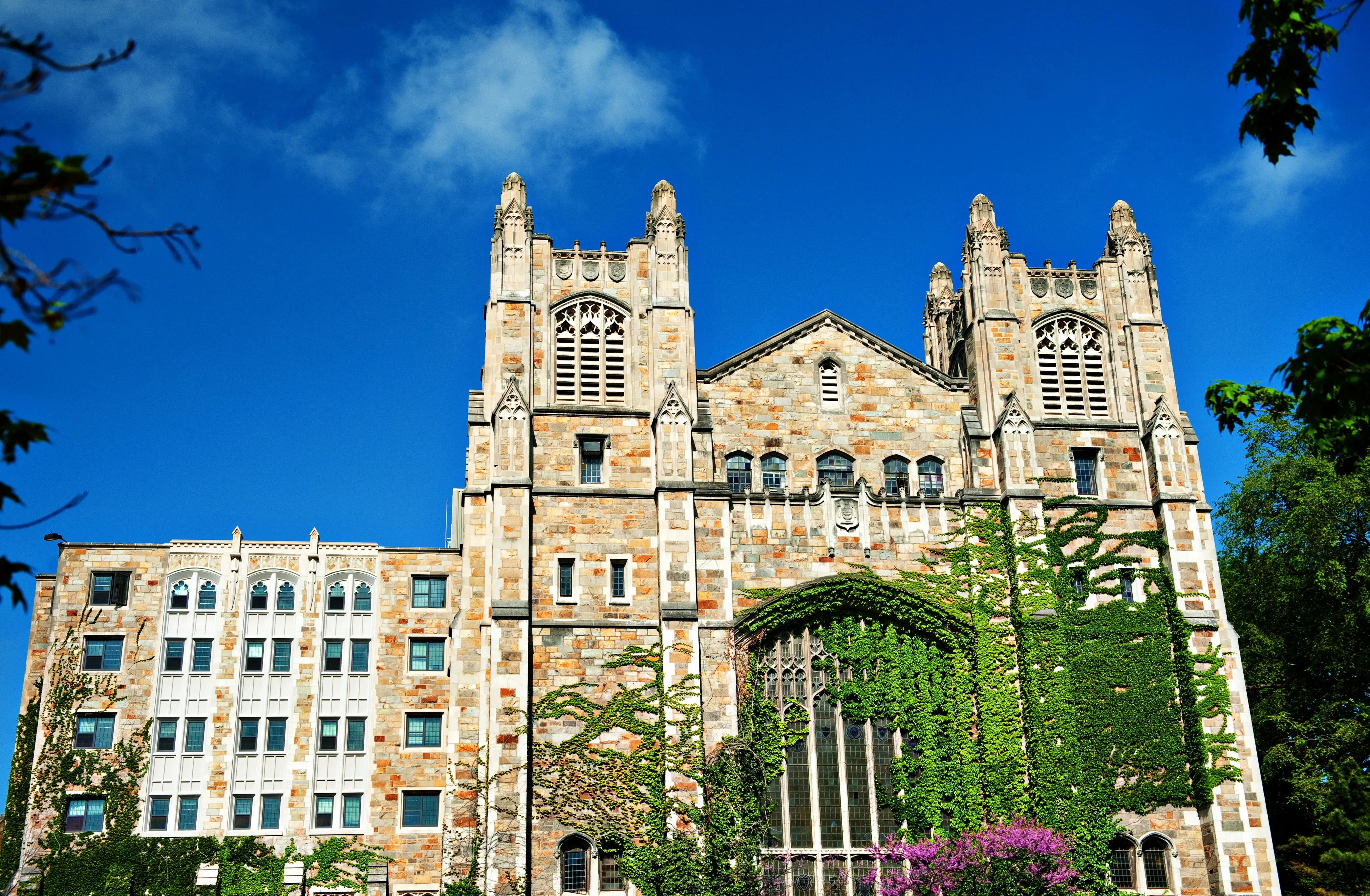 Exterior view of the Michigan Law Reading Room during summer 