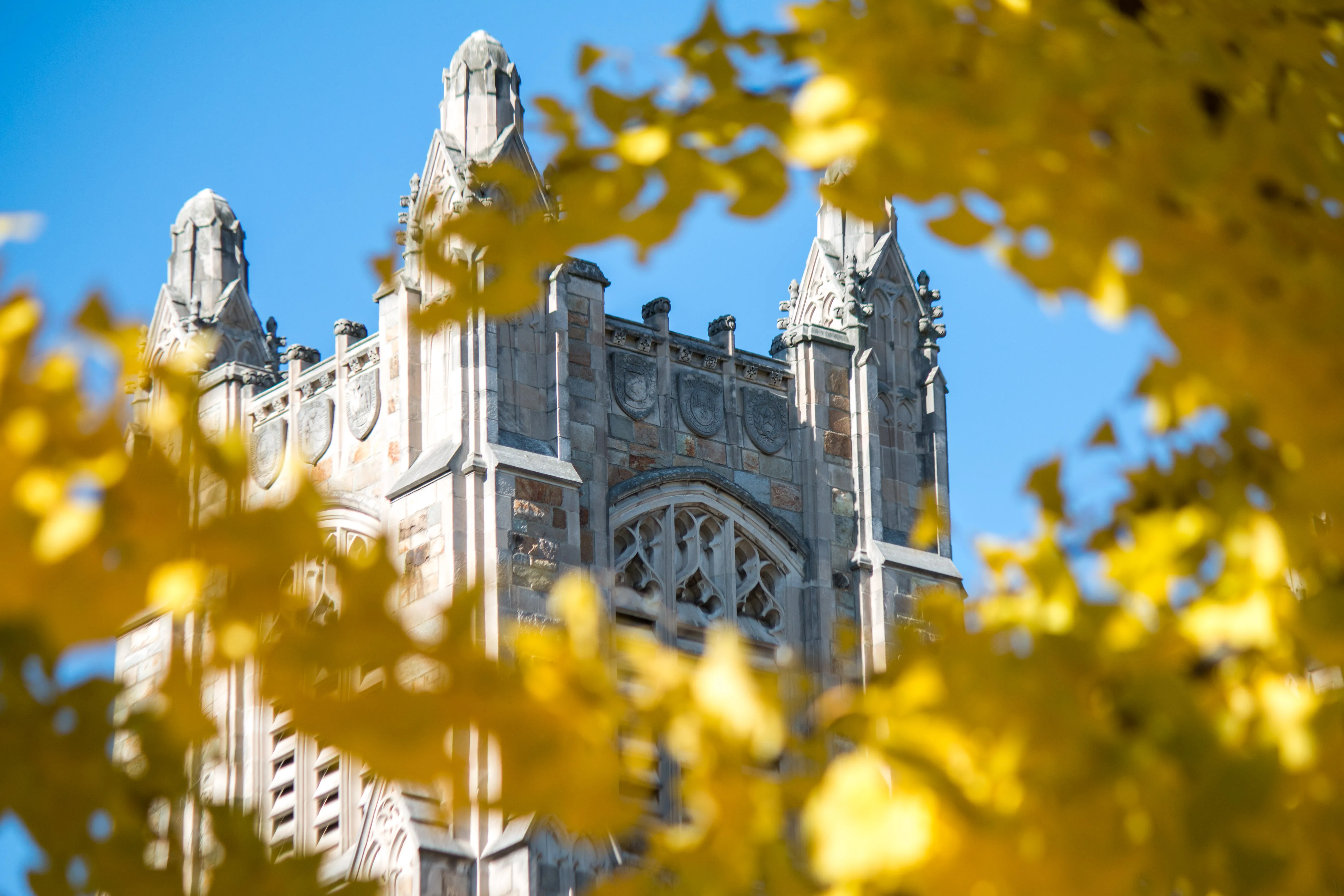 Exterior view of the Quadrangle through fall leaves 