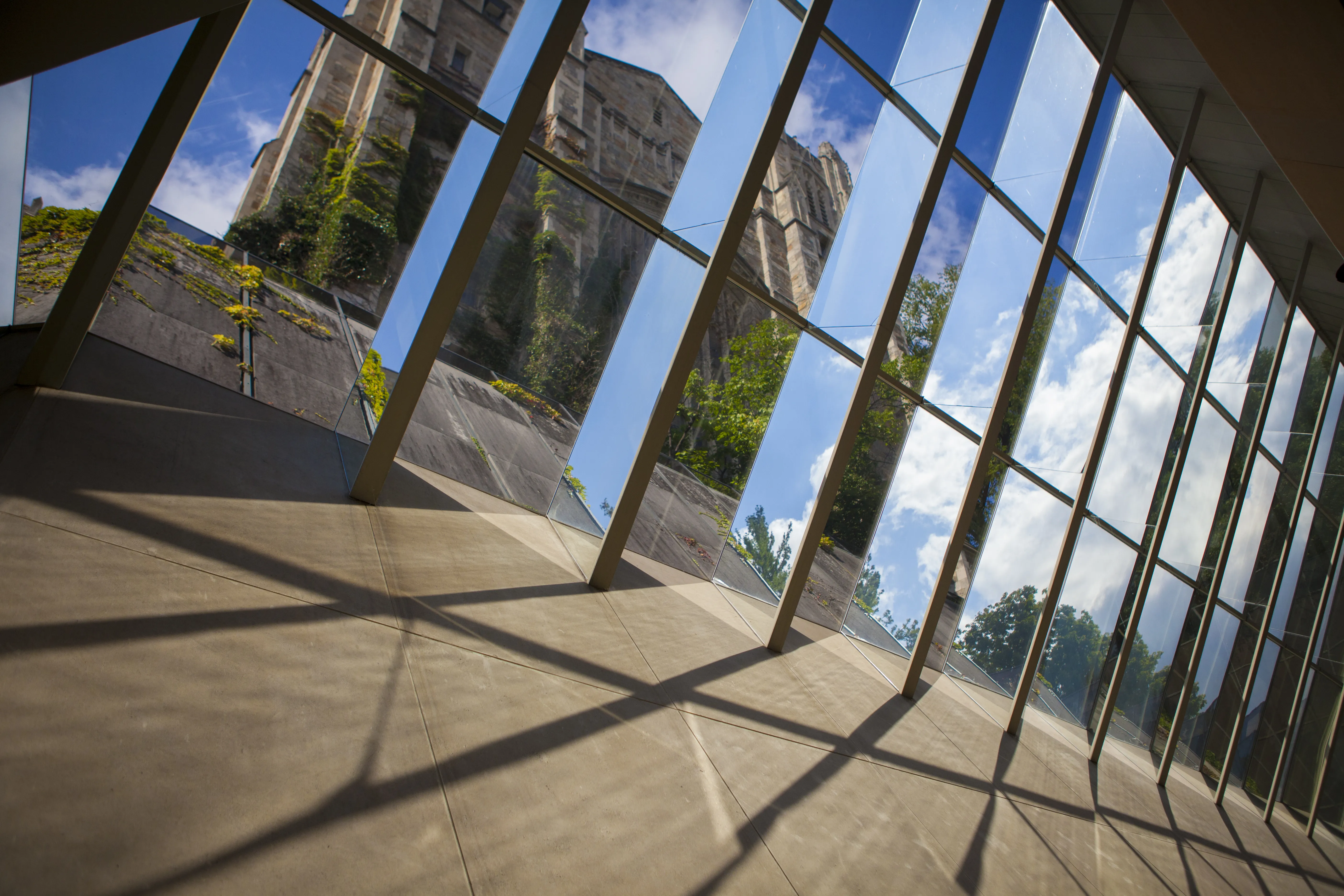 Interior view through the law library windows