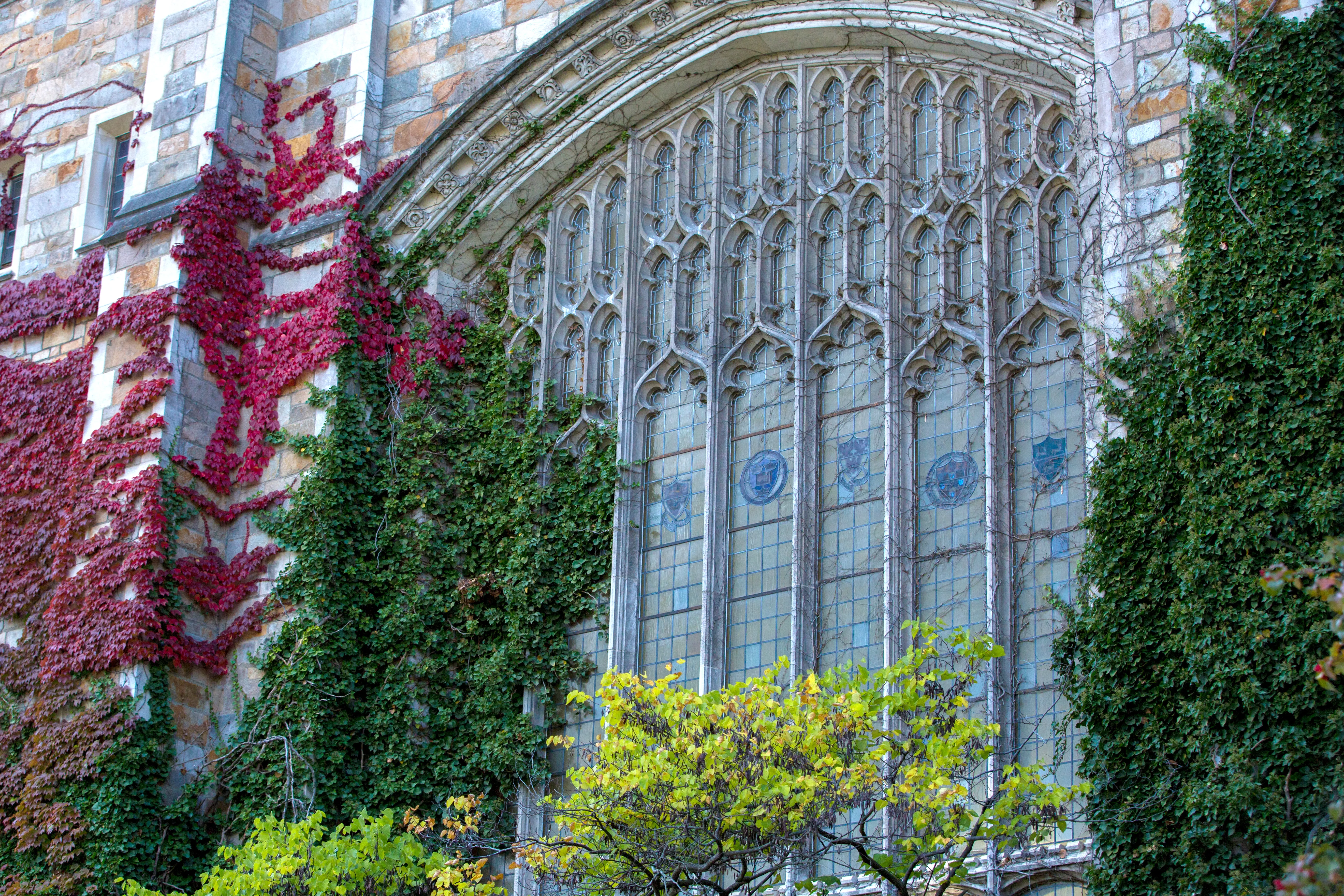 Exterior view of the Reading Room windows in the fall 