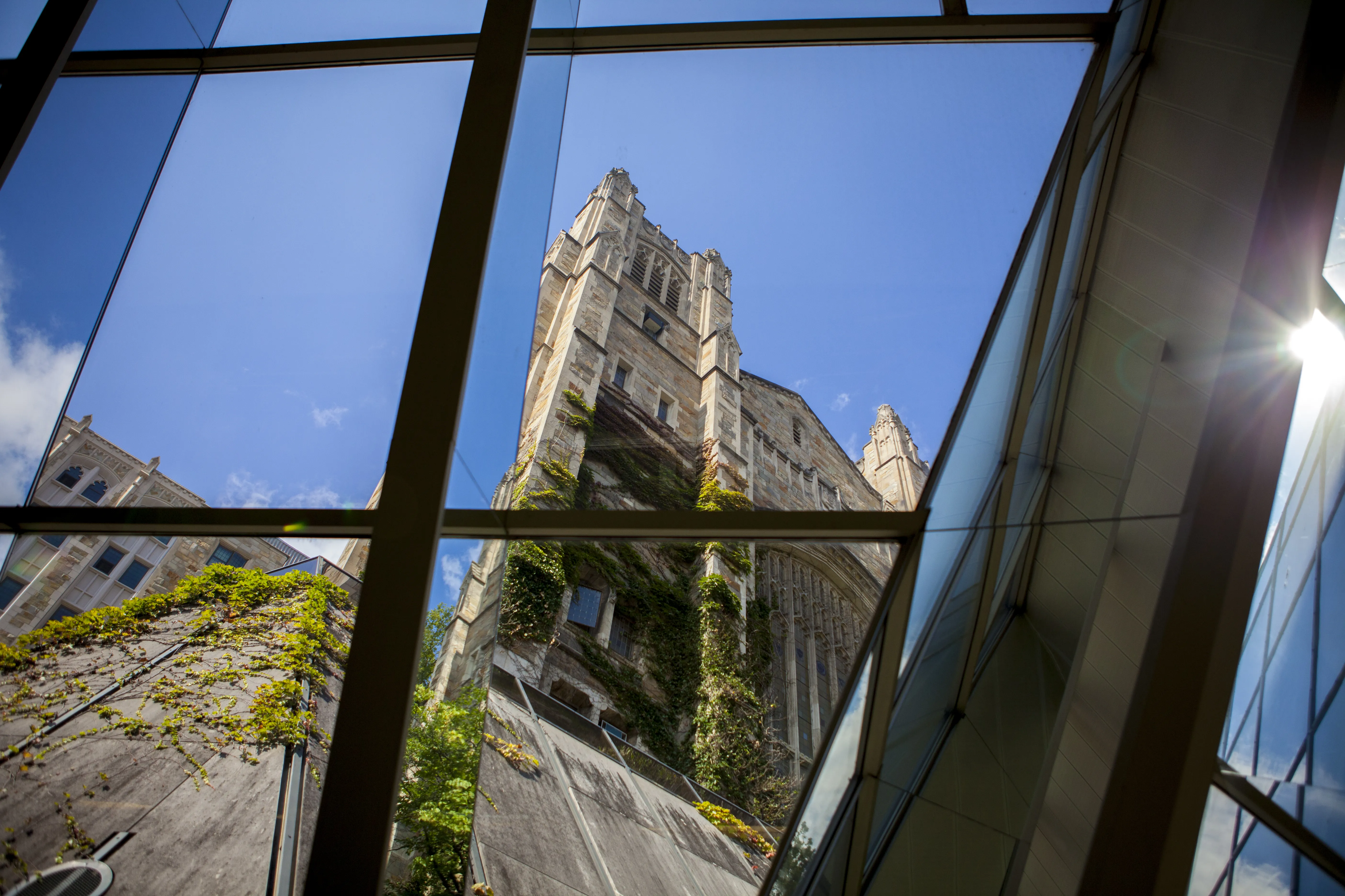 View through the Underground Library windows of the Reading Room. The sky is a clear blue and the sun in pouring in.