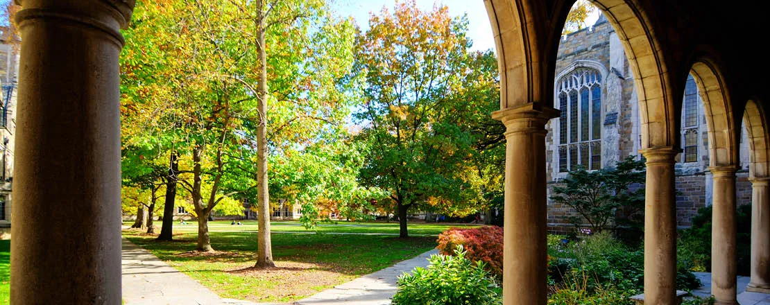 Walking into the the Law Schools Quadrangle