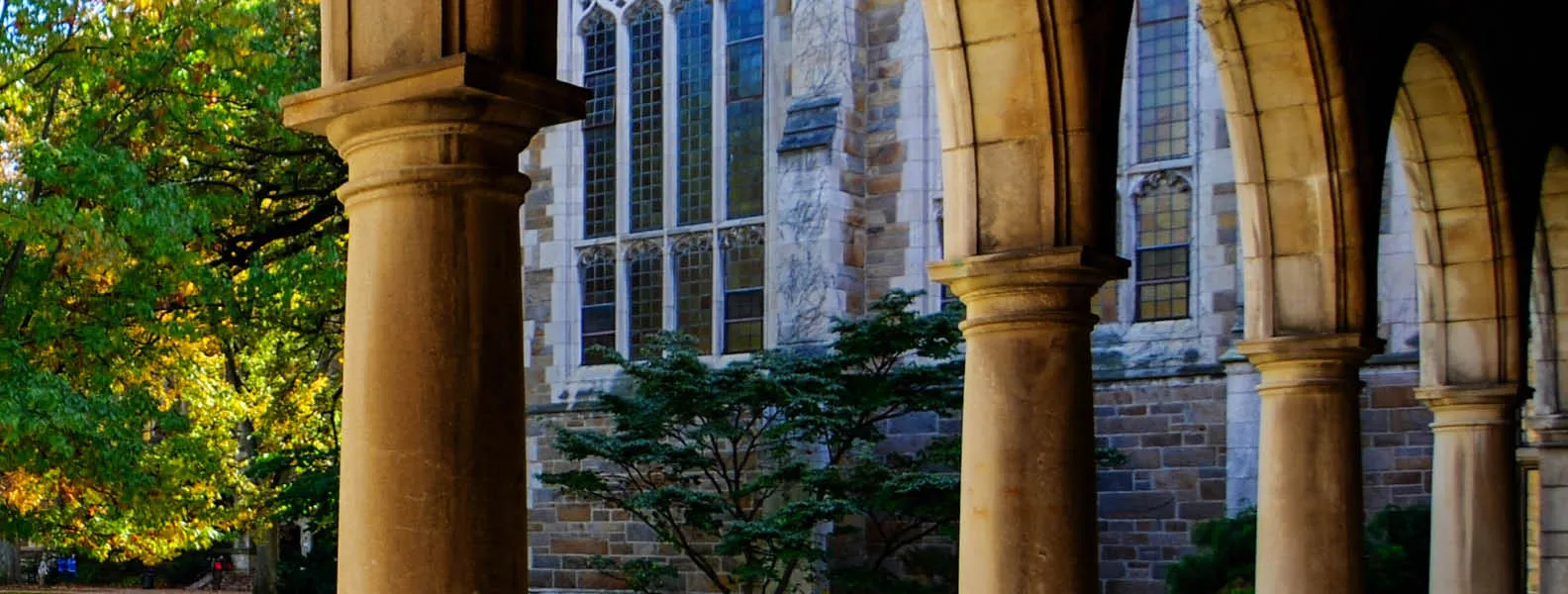 Walking into the the Law Schools Quadrangle