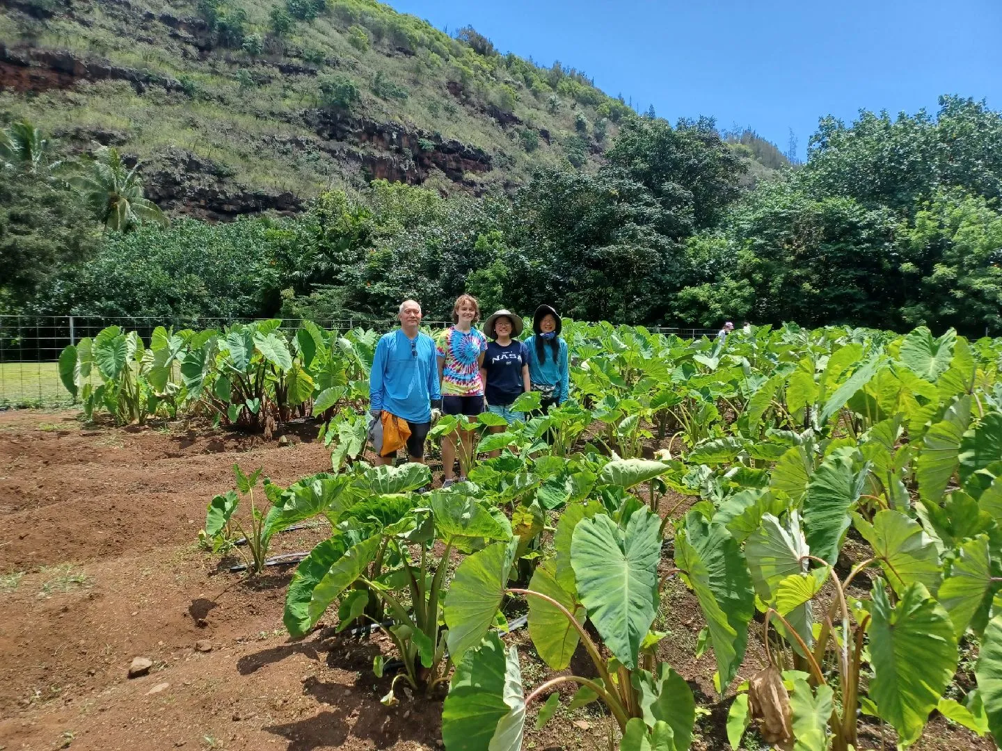 Alumni standing in a field in Hawaii.