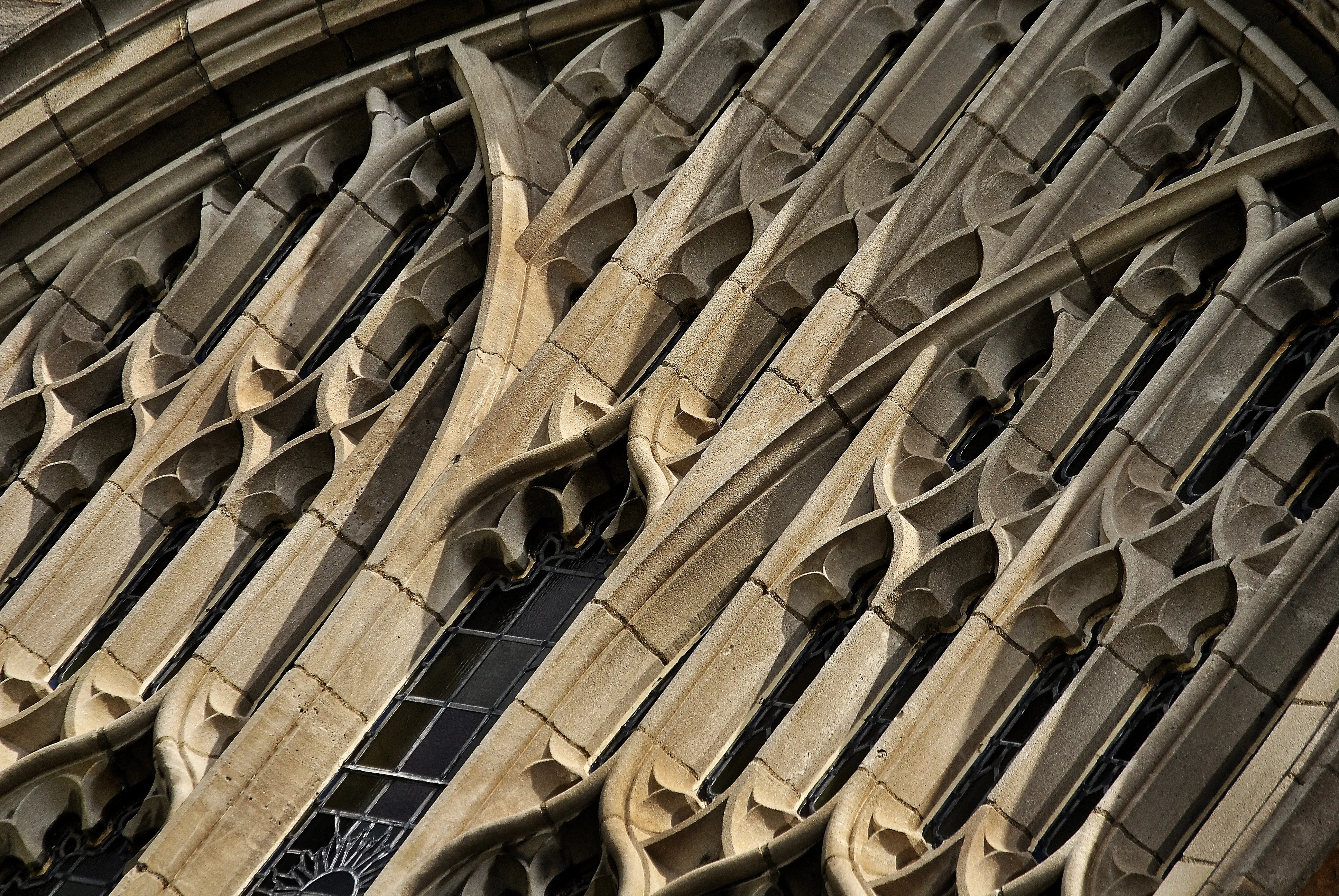 Detail of the Law Quad Windows