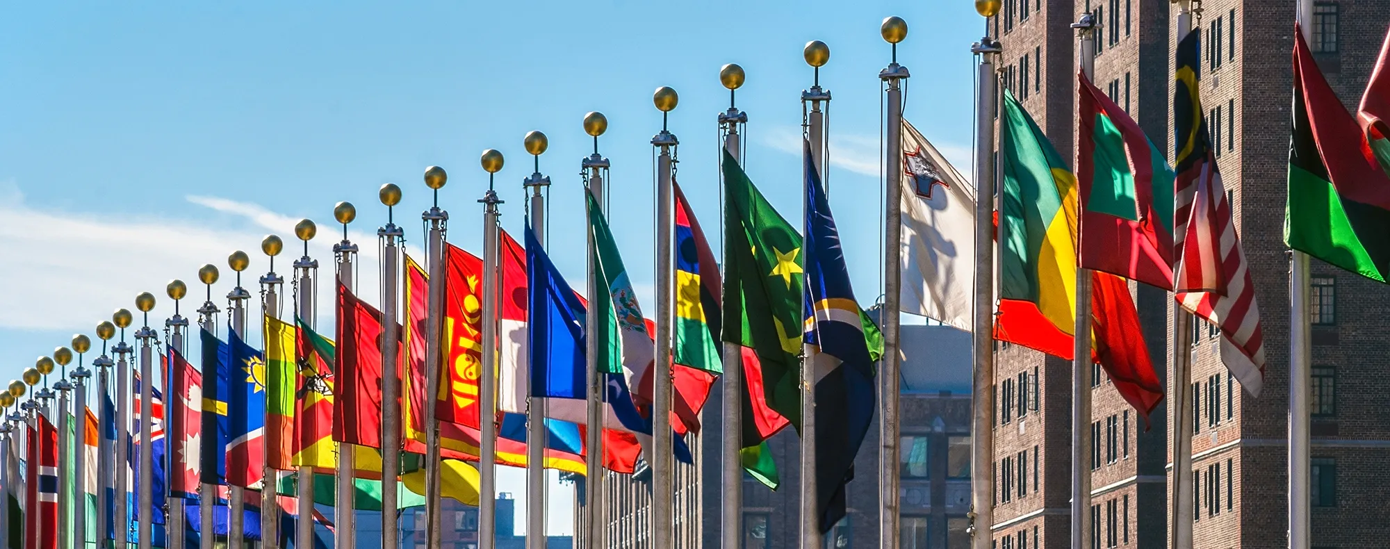 a group of flags on poles