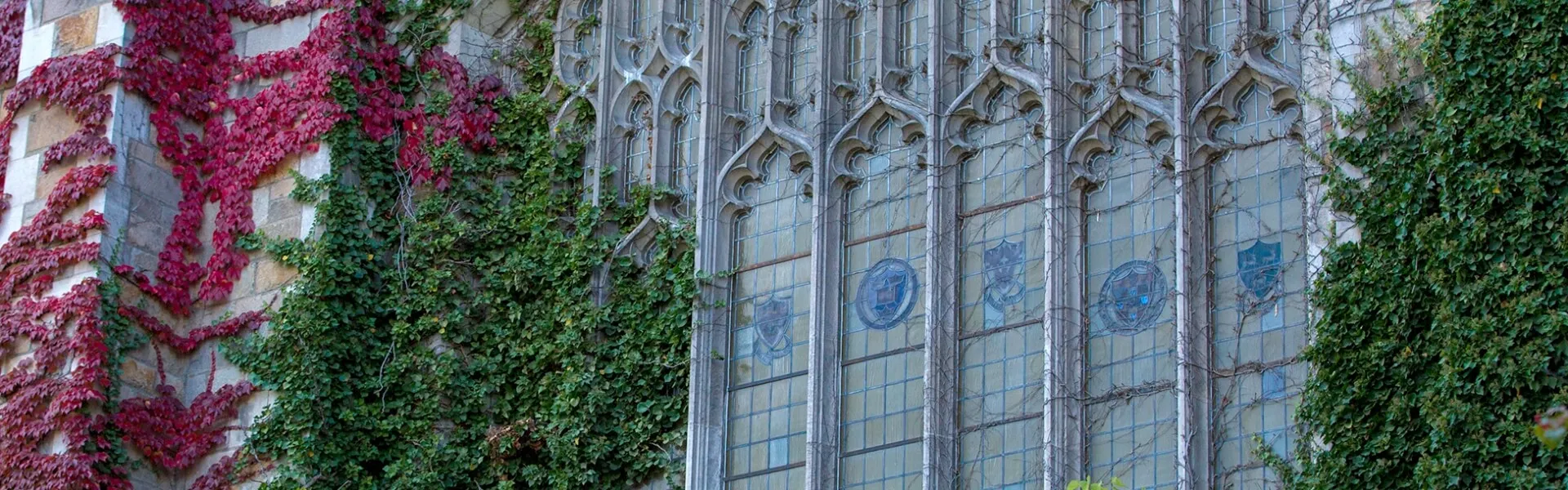 Beauty image of the Law School Reading Room 
