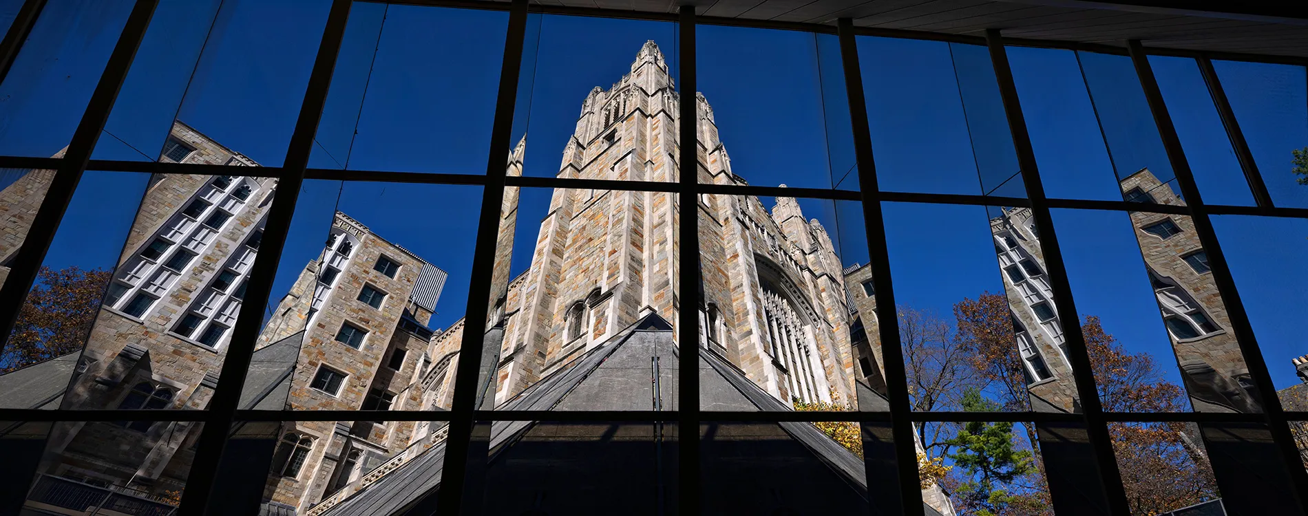 A view of the Reading Room through the Law Library Windows.