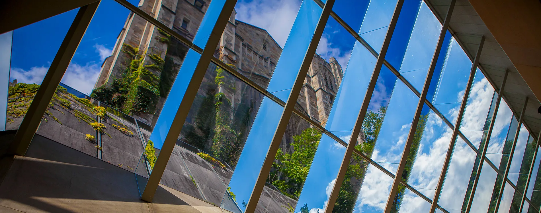 Exterior of the Michigan Law Reading Room through the Law Library Windows.