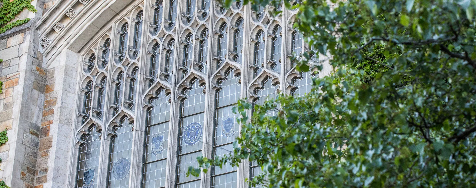 Exterior of a Michigan Law Reading Room Window.