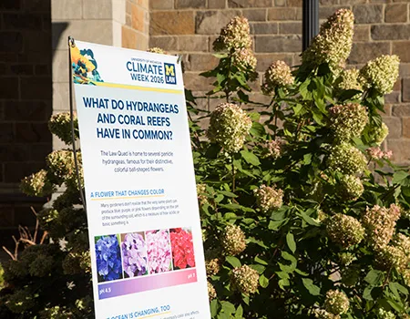 A sun-let hydrangea plant with a large posterboard sign titled "What do hydrangeas and coral reefs have in common?"