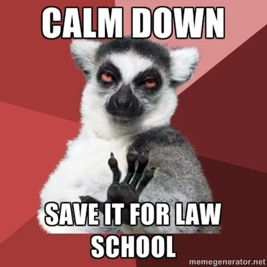 Chill lemur sez Chill lemur sez