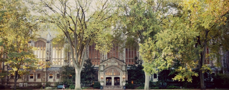 Exterior view of the reading room entrance during the summer
