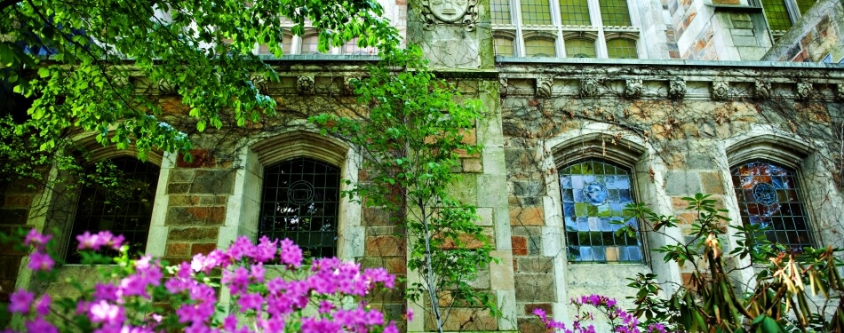 Exterior view of flowers in the Law School Courtyard during spring