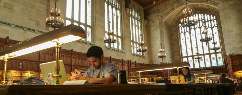 Students studying the quiet and beautiful reading room.