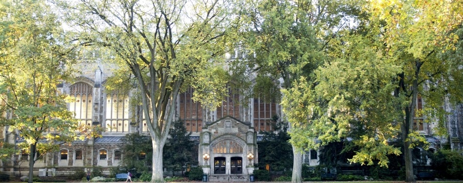 Exterior view of the reading room entrance from lawyers club during summer