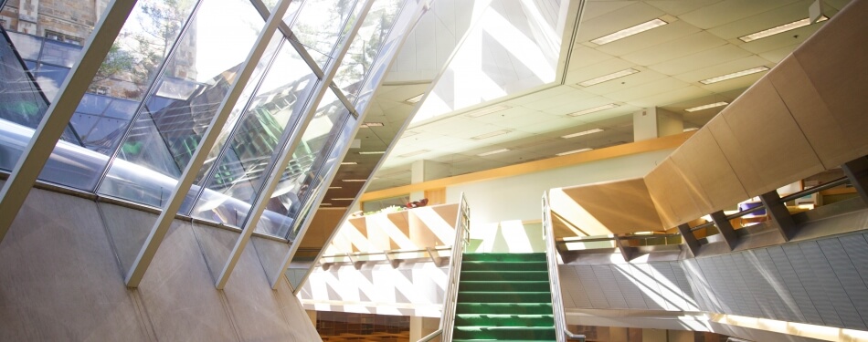 View of the underground library stairs during summer