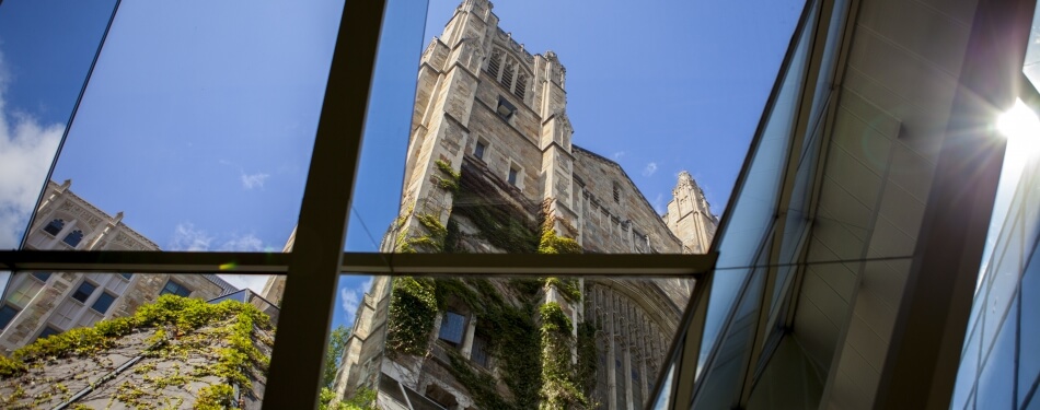 View through the Underground Library windows of the Reading Room. The sky is a clear blue and the sun in pouring in.