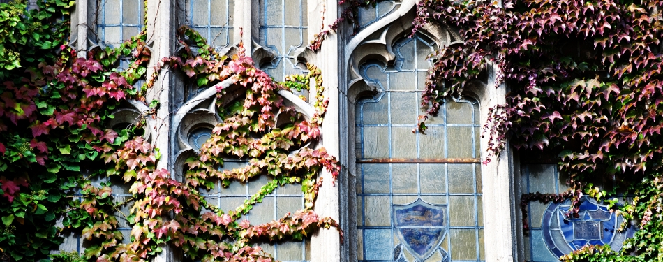Detail of the Read Room Windows, beauty 