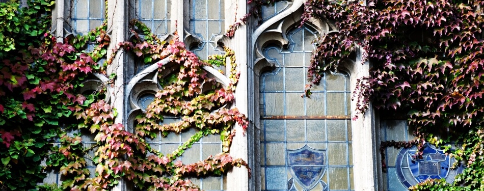 Decoration 