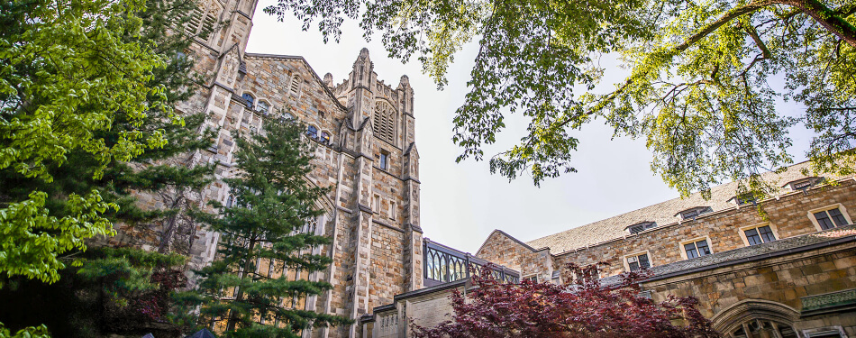 Exterior of the Michigan Law Reading Room window and Hutchins Hall Bridge.