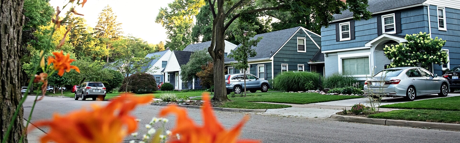A tree-shaded suburban neighborhood in Ann Arbor lined with two-story houses.