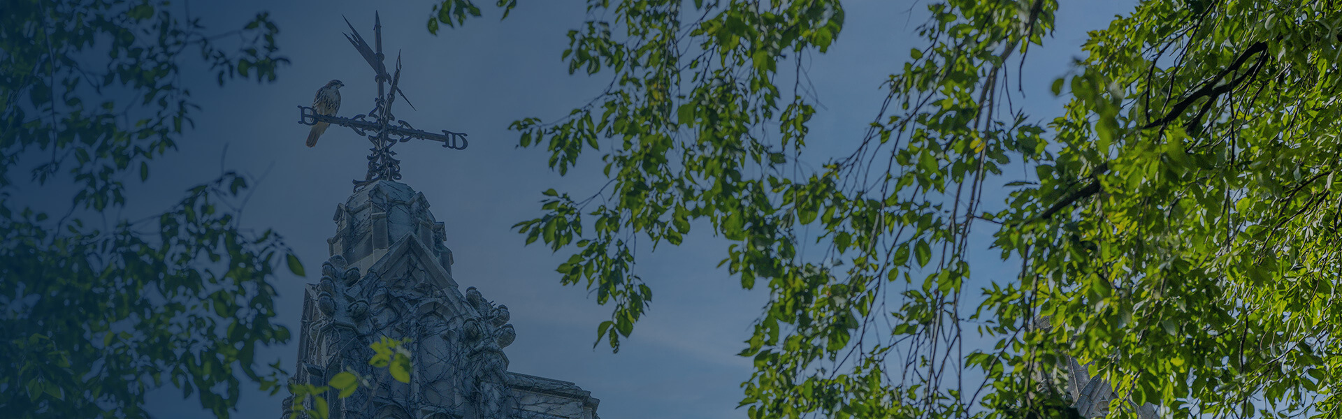 Reading Room Architecture Hawk perched on Weathervane