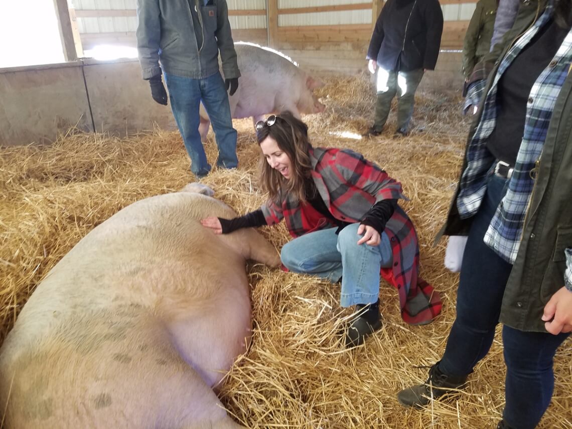 Annie Sloan rubs the belly of a napping pig at SASHA Farm Animal Sanctuary, the oldest and largest farm animal sanctuary in the Midwest