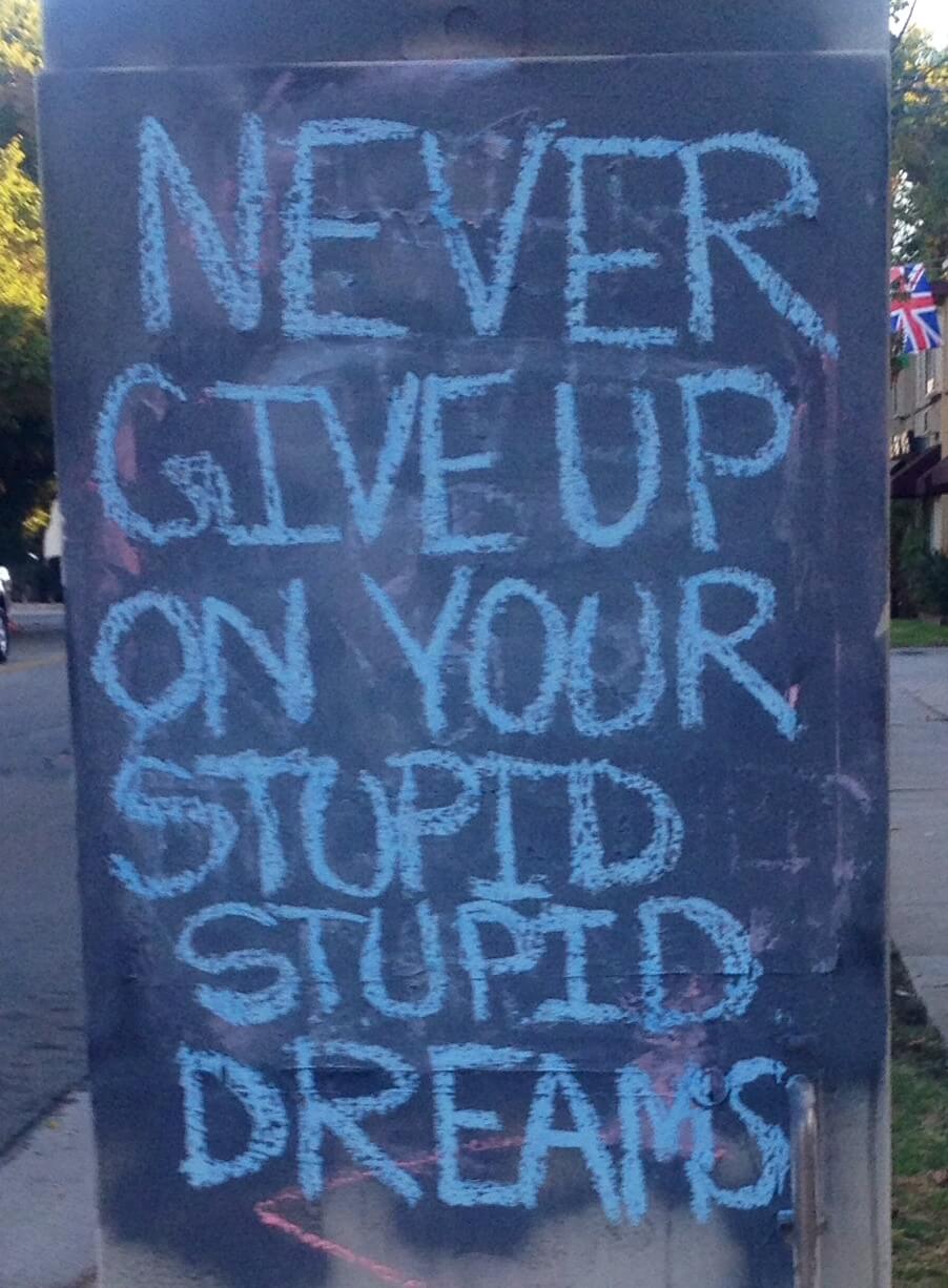 Stupid Stupid Dreams Stupid Stupid Dreams
