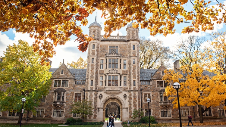 Multicolored leaves light from the sun framing the arched entrance into the law quad.