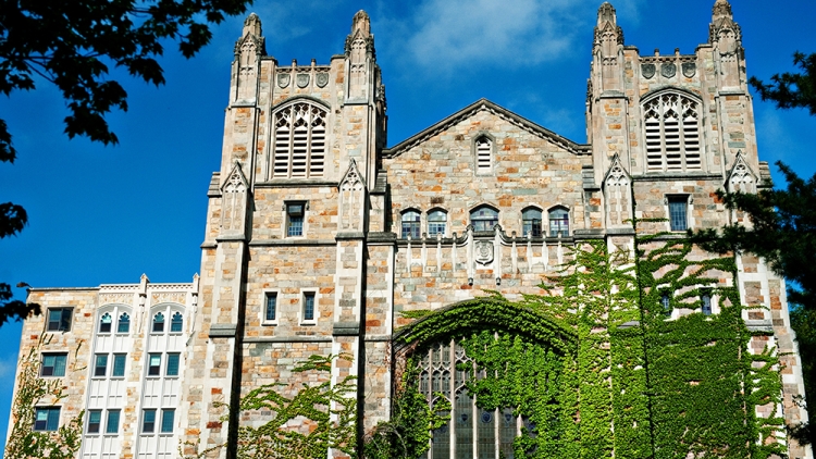 Majestic photo Reading Room with Ivy covering the wall