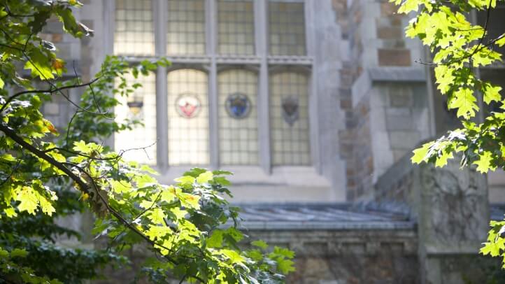 View of Hutchins hall through the leaves of the inner courtyard of the Law School during the summer