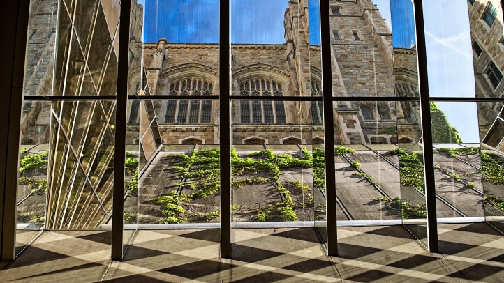View through the Michigan Law underground library windows of the reading room during summer