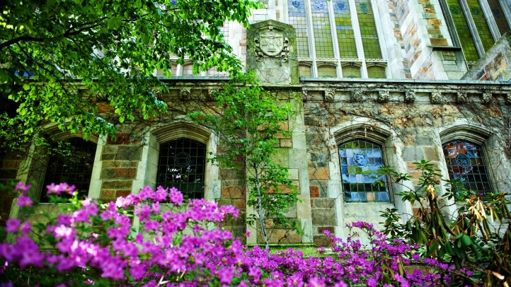 Exterior view of flowers in the Law School Courtyard during spring