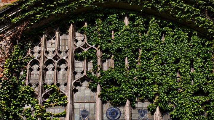 Exterior view of Michigan Law's Reading Room windows during the summer