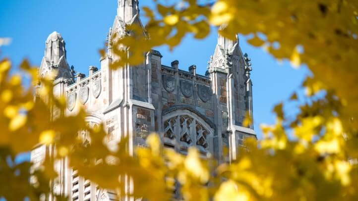 Exterior view of the Quadrangle through fall leaves 