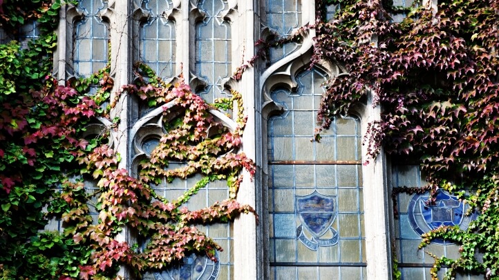 Exterior view of Michigan Law reading room windows during the fall