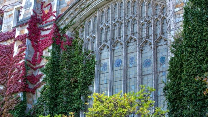 Exterior view of the Reading Room windows in the fall