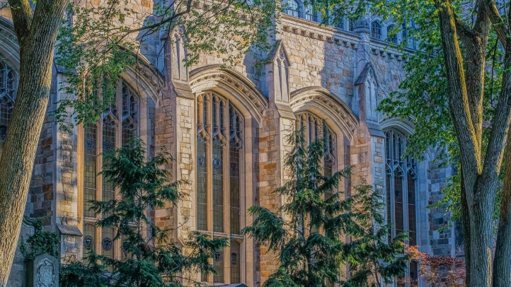 Exterior view of Michigan Law's Reading Room windows