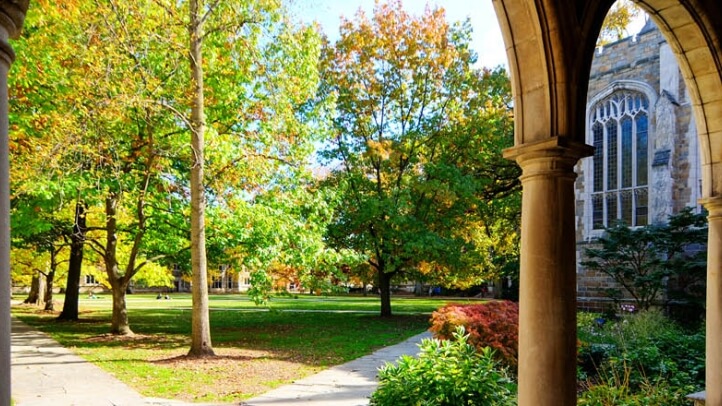 Walking into the the Law Schools Quadrangle