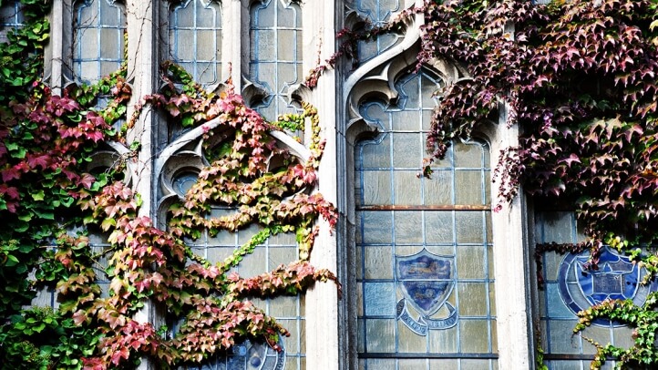 Beauty image of the Reading Room windows with Ivey on them 