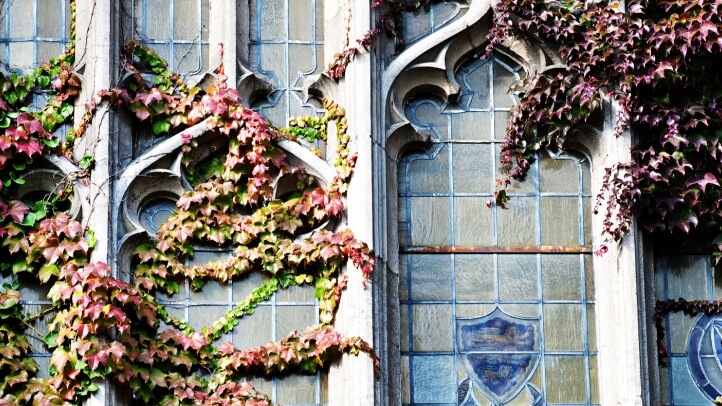 Decoration 