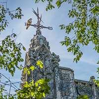 Reading Room Architecture Hawk perched on Weathervane